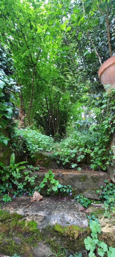 Villa Marguerite Terrasse & Garage 贝尔维斯 外观 照片