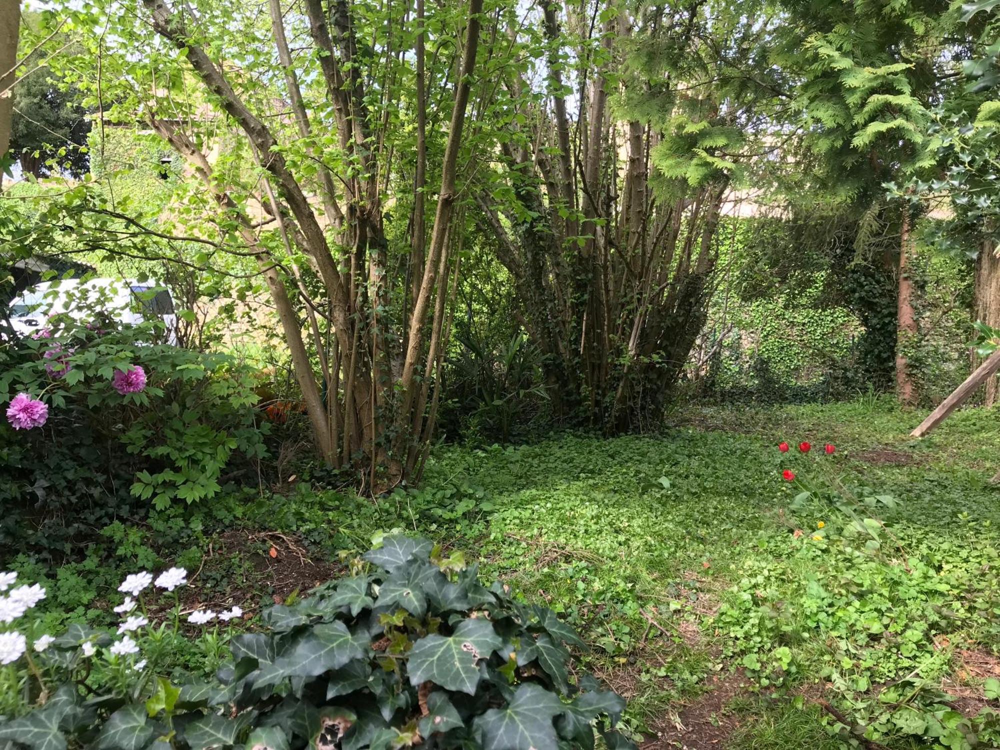 Villa Marguerite Terrasse & Garage 贝尔维斯 外观 照片